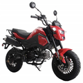 VADER 125CC - Manual